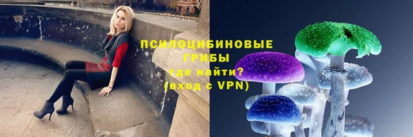 ПСИЛОЦИБИНОВЫЕ ГРИБЫ Бронницы
