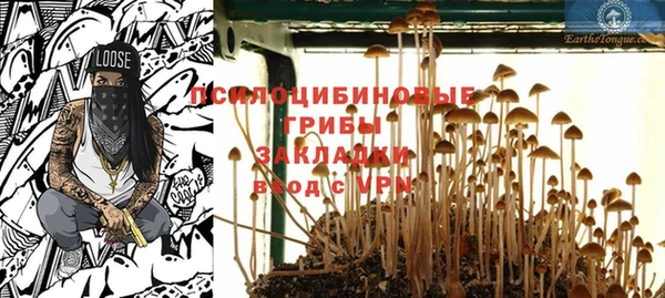 прущие крисы Бугульма