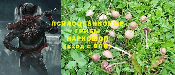 прущие крисы Бугульма