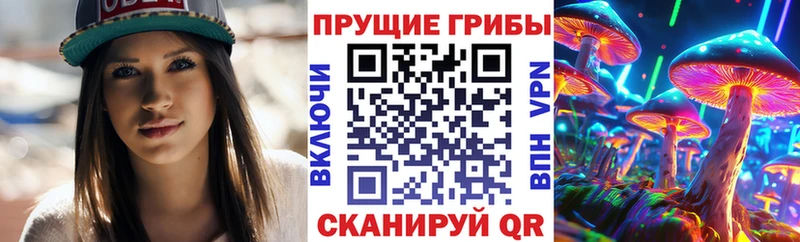 закладка  Гуково  Галлюциногенные грибы прущие грибы 